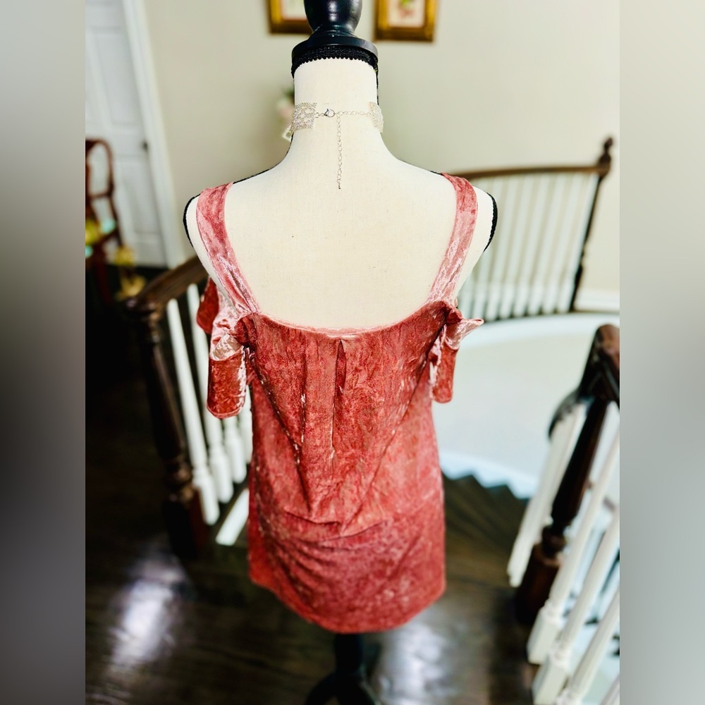 Stunning Mauve Pink MIAMI Brand Velvet Dress Size Small! - Picture 3 of 6